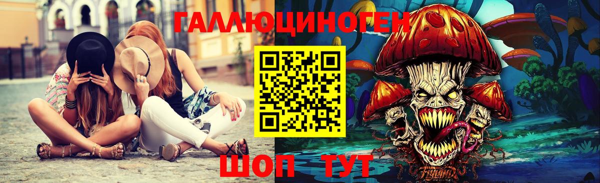 Галлюциногенные грибы Psilocybine cubensis Холмск