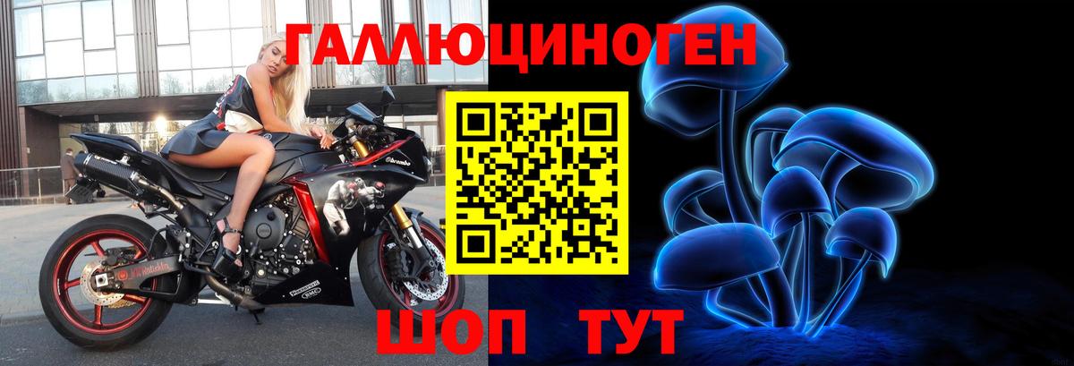 Холмск  Псилоцибиновые грибы Psilocybine cubensis  Вход с VPN  Псилоцибиновые грибы мицелий 